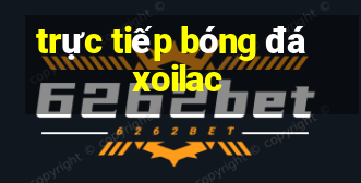 trực tiếp bóng đá xoilac