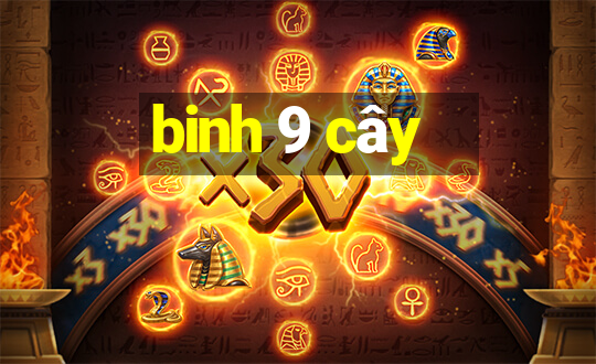 binh 9 cây