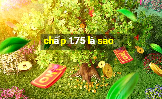 chấp 1.75 là sao