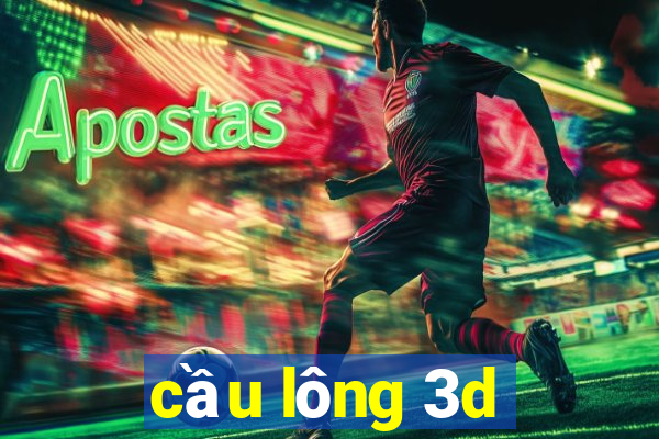 cầu lông 3d