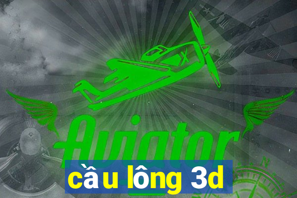 cầu lông 3d