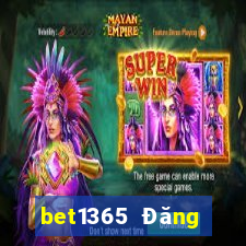 bet1365 Đăng nhập người dùng