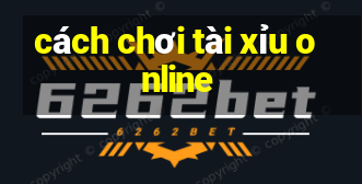 cách chơi tài xỉu online