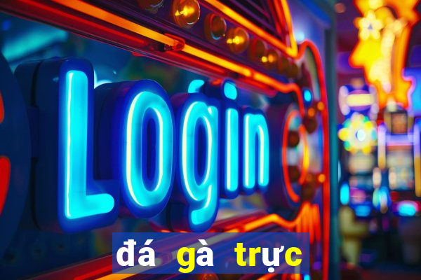 đá gà trực tuyến hôm nay