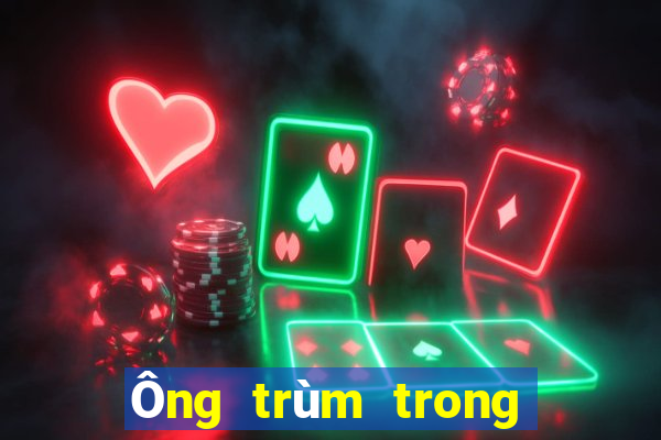 Ông trùm trong giới xổ số