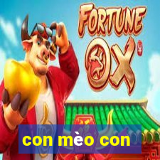 con mèo con