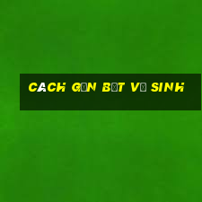 cách gắn bệt vệ sinh