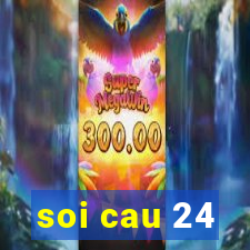 soi cau 24