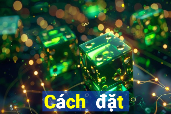 Cách đặt cược XSMT