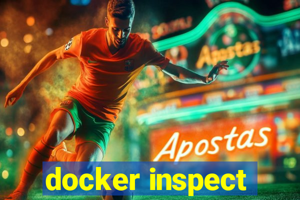 docker inspect