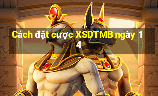 Cách đặt cược XSDTMB ngày 14