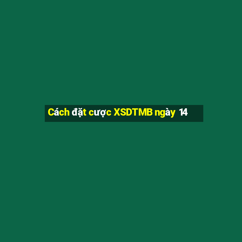 Cách đặt cược XSDTMB ngày 14