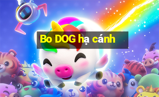 Bo DOG hạ cánh