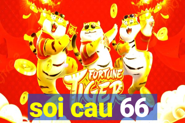 soi cau 66