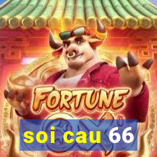 soi cau 66