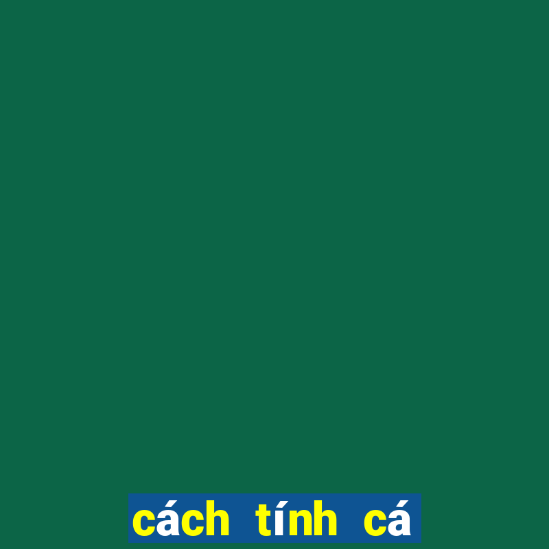 cách tính cá độ bóng đá