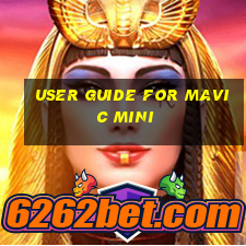 user guide for mavic mini