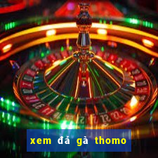 xem đá gà thomo trực tiếp