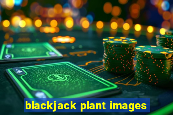 blackjack plant images