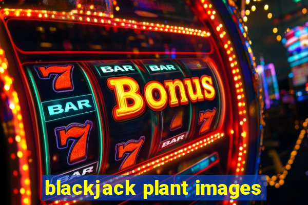 blackjack plant images