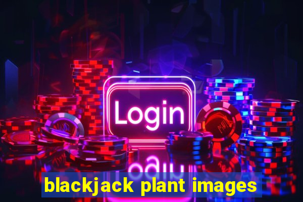 blackjack plant images