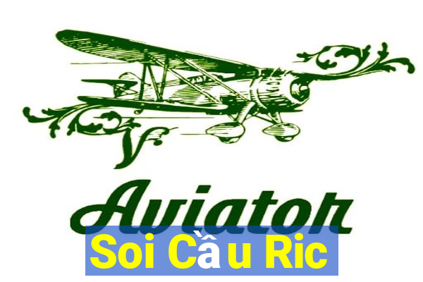 Soi Cầu Ric