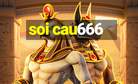 soi cau666