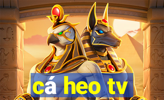 cá heo tv