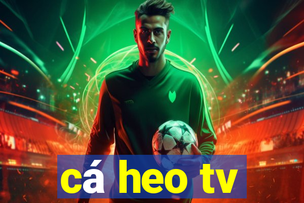 cá heo tv