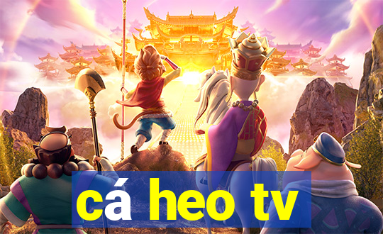 cá heo tv