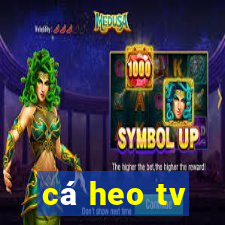 cá heo tv