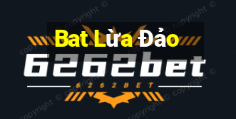 Bat Lừa Đảo