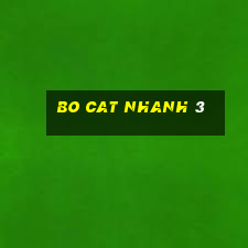 Bo Cat nhanh 3