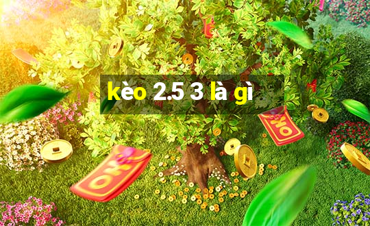 kèo 2.5 3 là gì