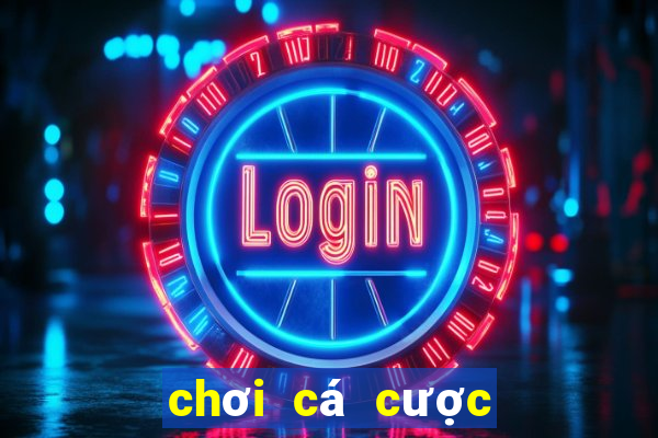 chơi cá cược thể thao casino