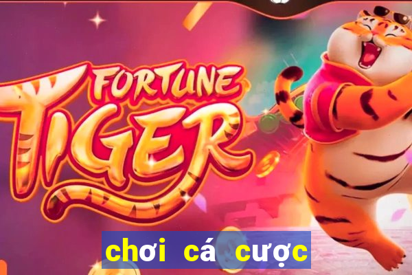 chơi cá cược thể thao casino