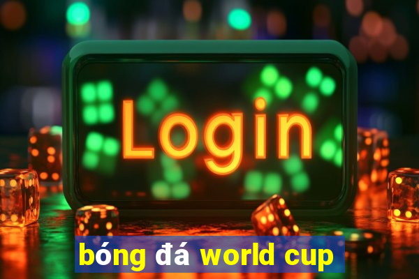 bóng đá world cup