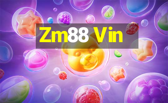 Zm88 Vin