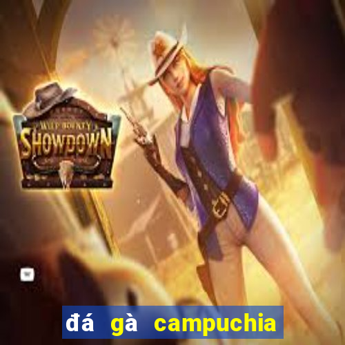 đá gà campuchia ngày hôm nay