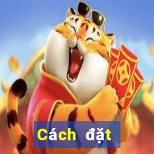 Cách đặt cược XSBP ngày 7