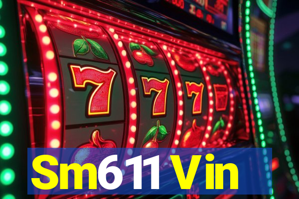 Sm611 Vin