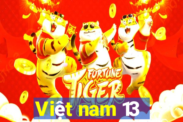 Việt nam 13