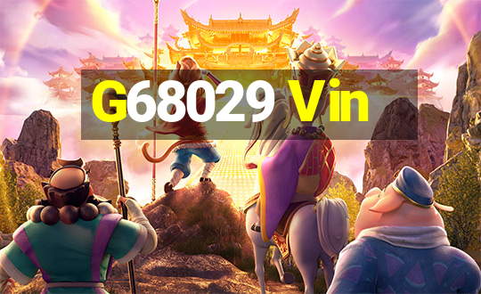 G68029 Vin