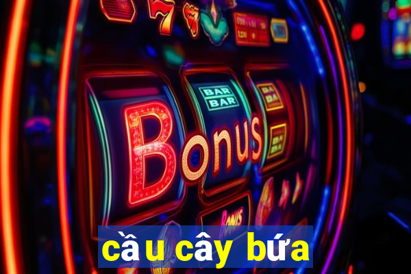 cầu cây bứa