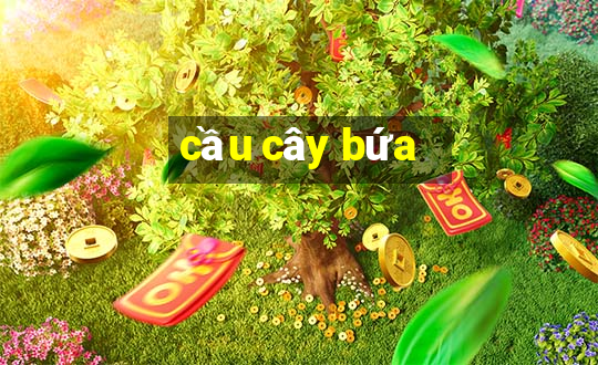 cầu cây bứa