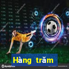 Hàng trăm người dùng đăng nhập