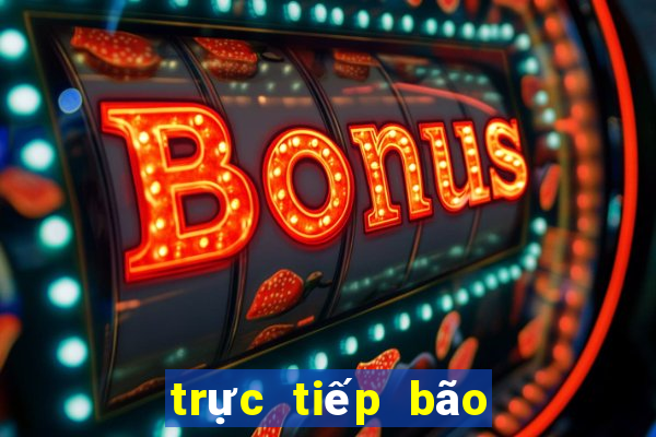 trực tiếp bão miền trung