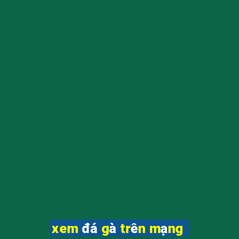 xem đá gà trên mạng