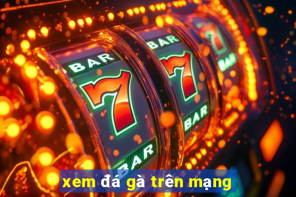 xem đá gà trên mạng