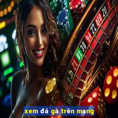 xem đá gà trên mạng